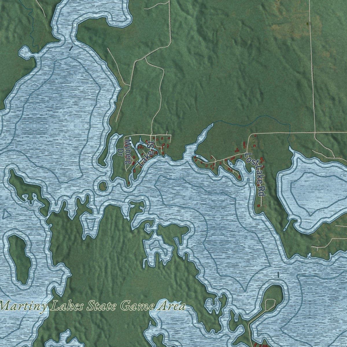 Close-up of the map of Martiny, Michigan print showing street and building detail