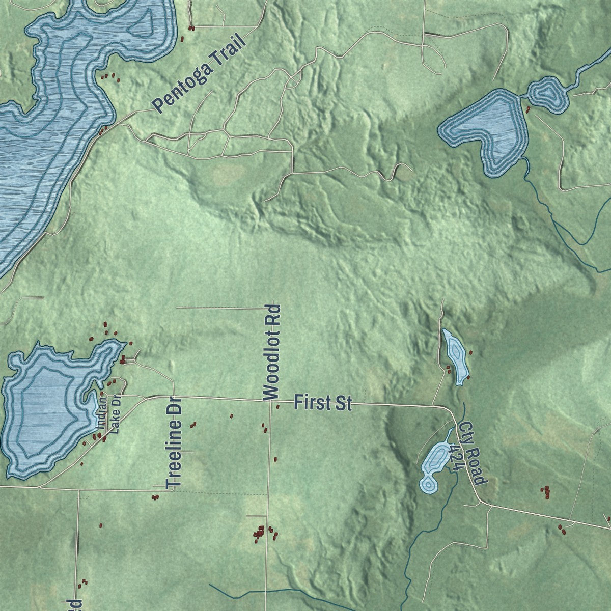 Close-up of the map of Mastodon, Michigan print showing street and building detail