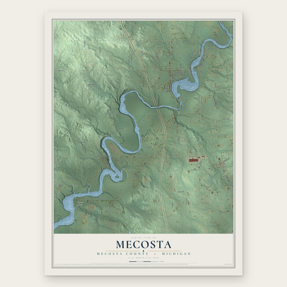 Mecosta, Mecosta County, Michigan map print, the full design