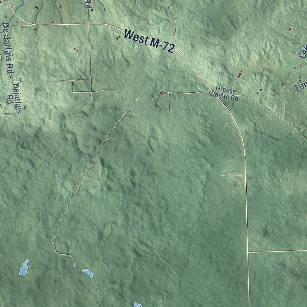 Close-up of the map of Mitchell, Michigan print showing street and building detail