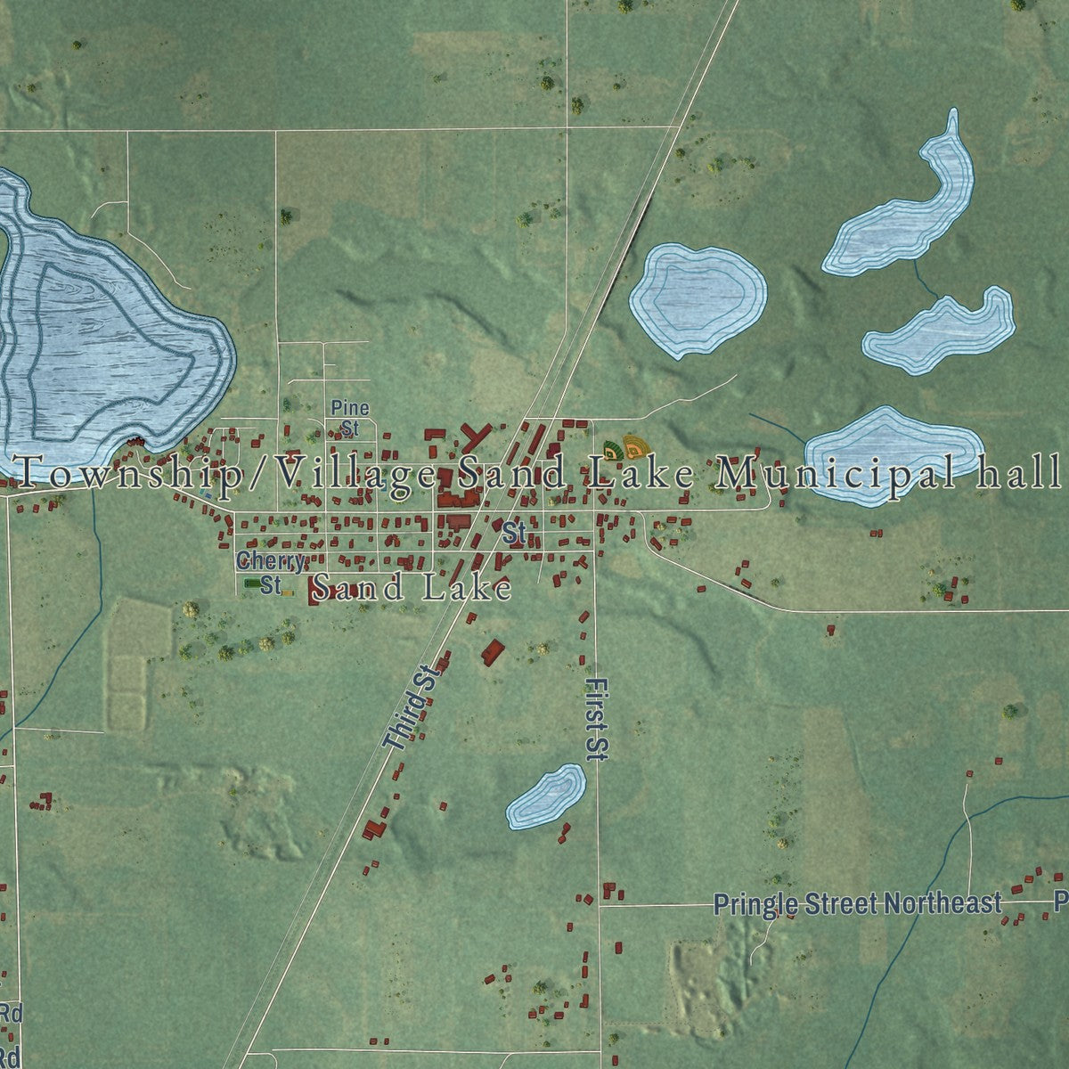Close-up of the map of Nelson, Michigan print showing street and building detail