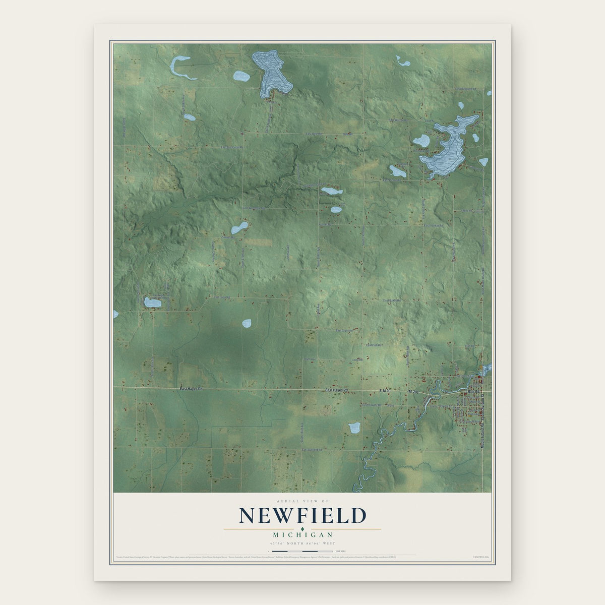 Newfield, Michigan map print, the full design