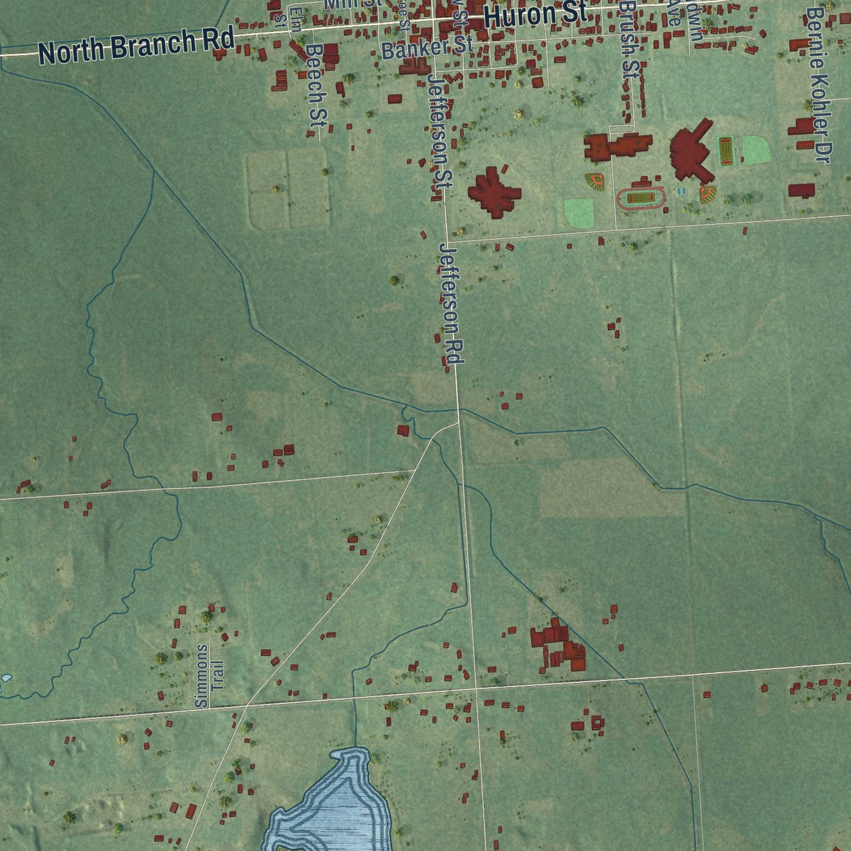 Close-up of the map of North Branch, Lapeer County, Michigan print showing street and building detail