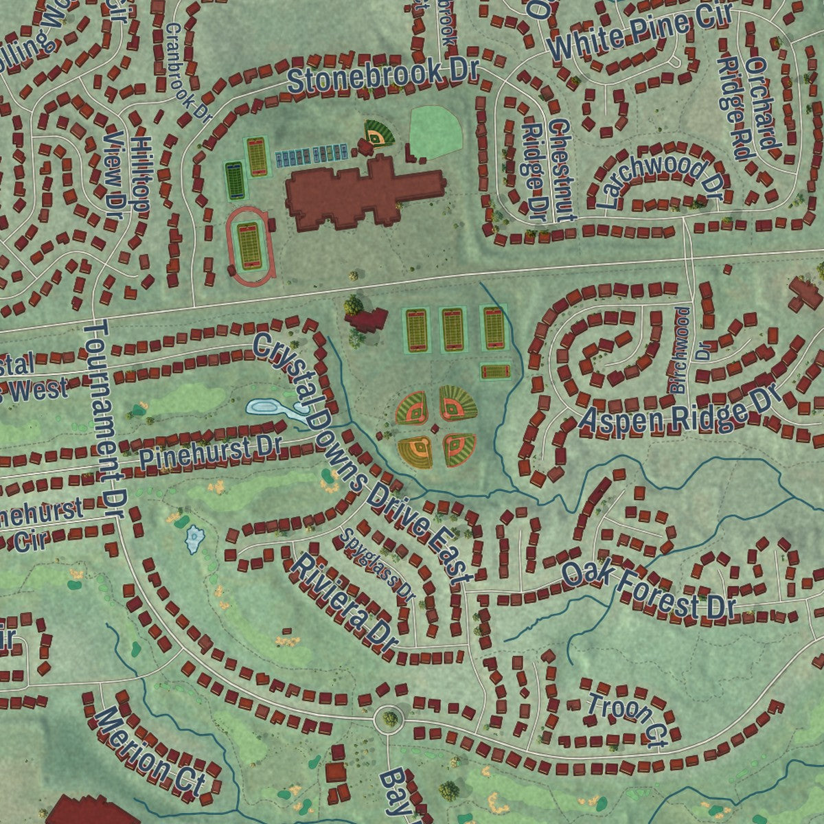 Close-up of the map of Northville, Wayne County, Michigan print showing street and building detail