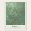 Osceola, Osceola County, Michigan map print, the full design
