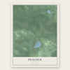 Peacock, Michigan map print, the full design