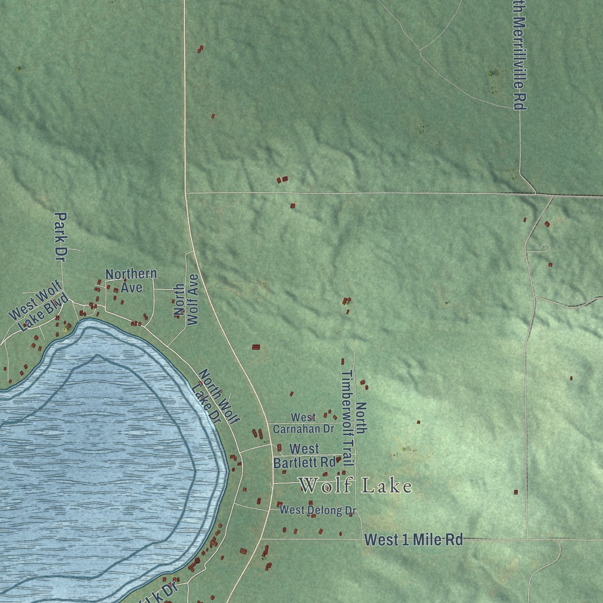 Close-up of the map of Peacock, Michigan print showing street and building detail