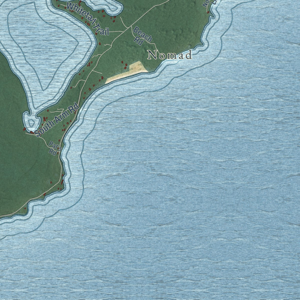 Close-up of the map of Peaine, Michigan print showing street and building detail
