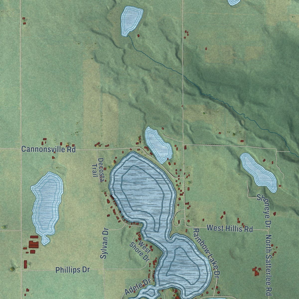 Close-up of the map of Pine, Michigan print showing street and building detail
