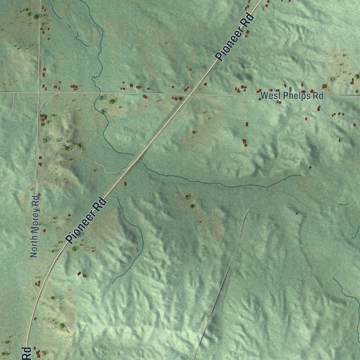 Close-up of the map of Pioneer, Michigan print showing street and building detail