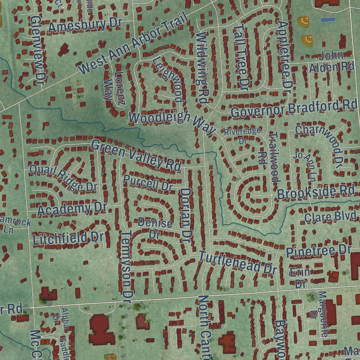 Close-up of the map of Plymouth, Wayne County, Michigan print showing street and building detail