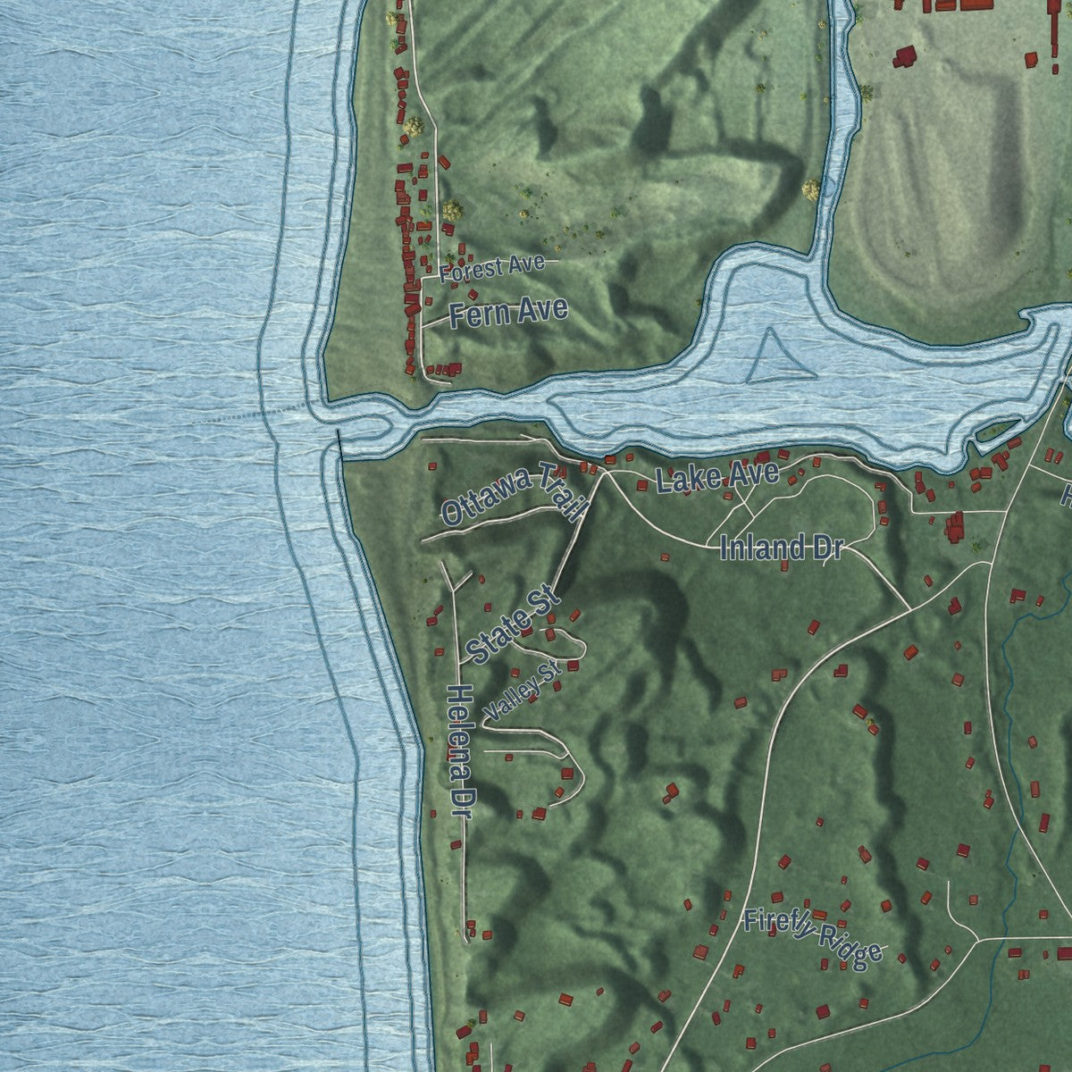 Close-up of the map of Port Sheldon, Michigan print showing street and building detail