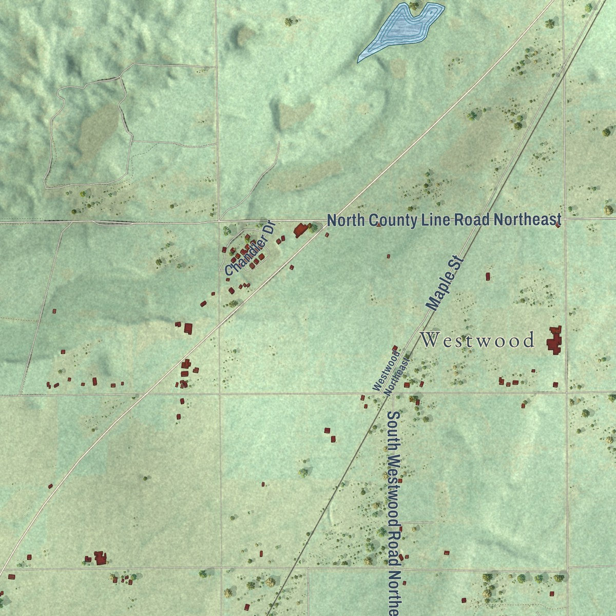 Close-up of the map of Rapid River, Michigan print showing street and building detail