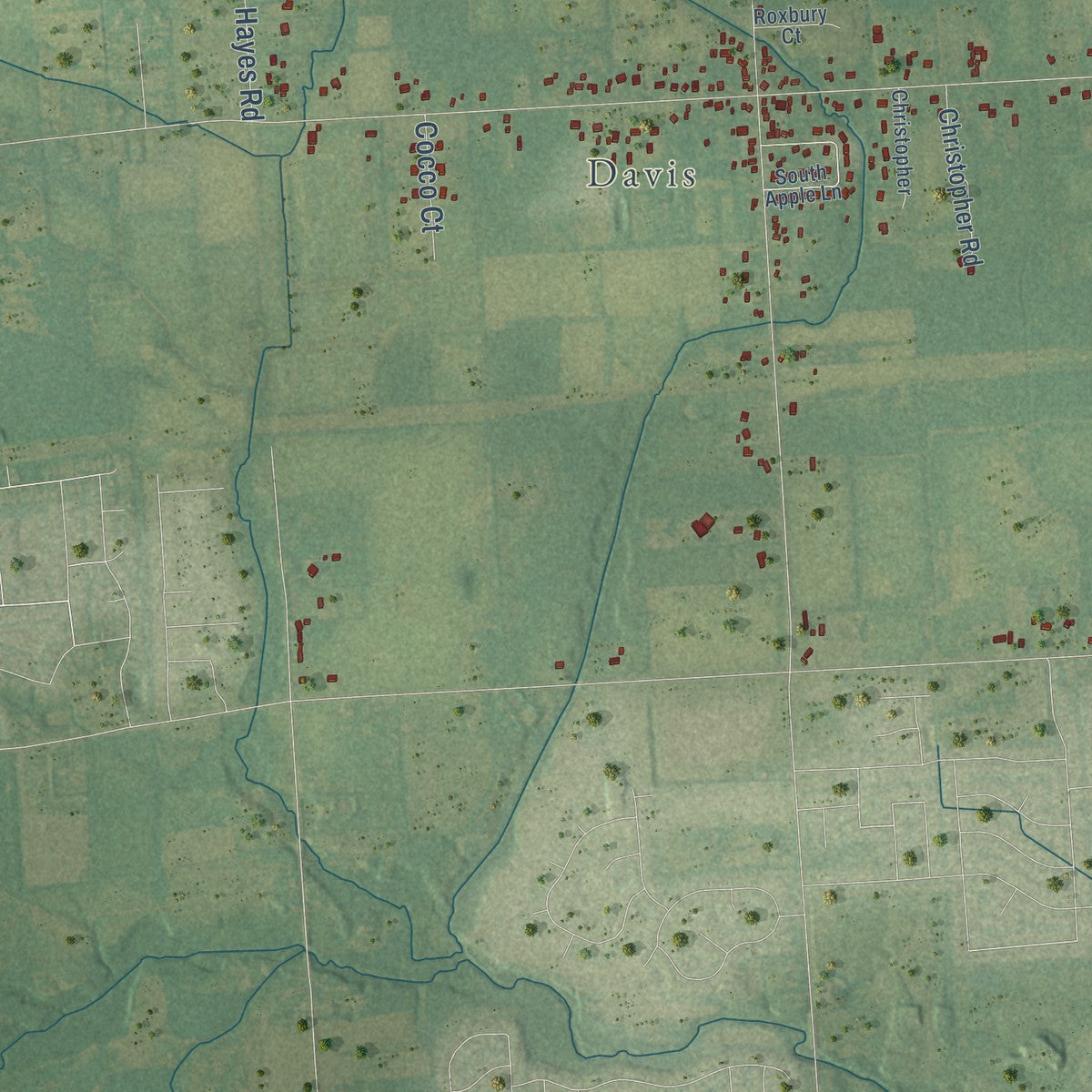 Close-up of the map of Ray, Michigan print showing street and building detail