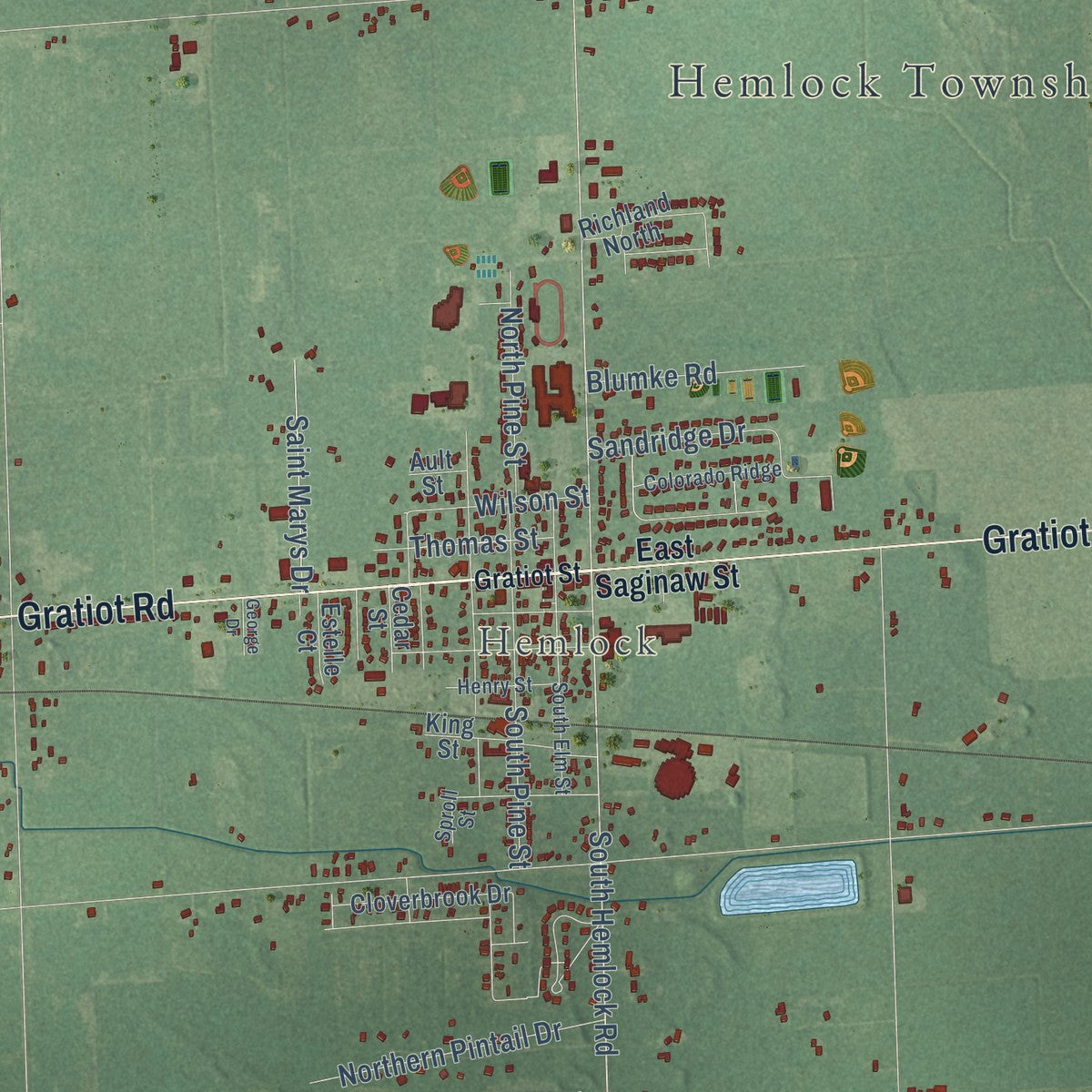 Close-up of the map of Richland, Saginaw County, Michigan print showing street and building detail