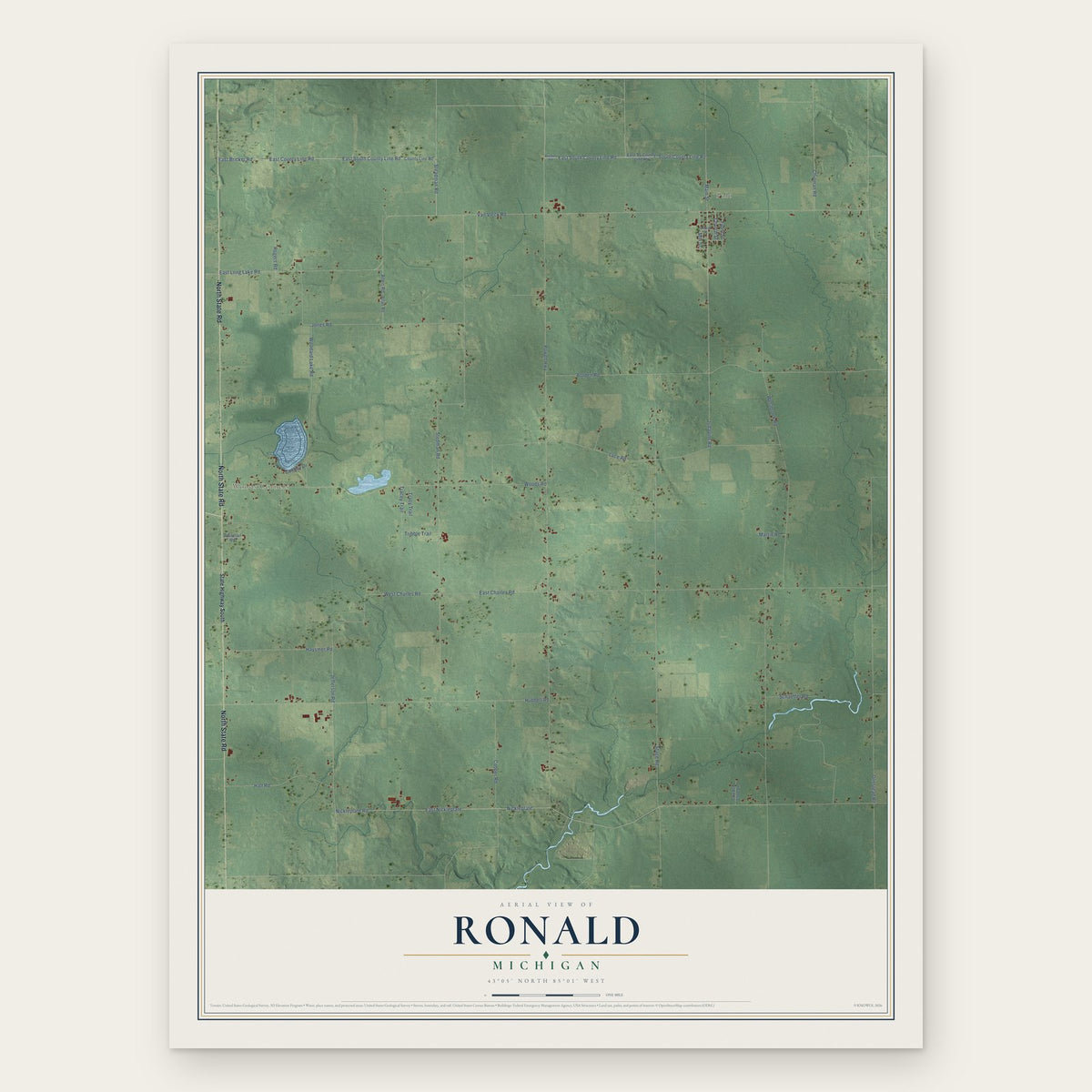Ronald, Michigan map print, the full design