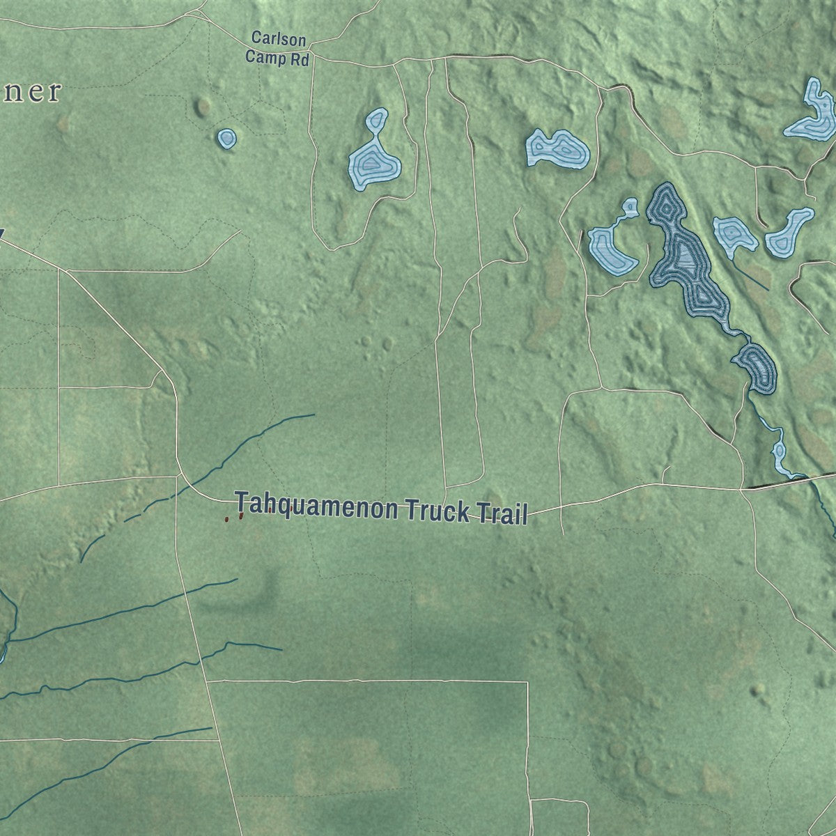 Close-up of the map of Seney, Michigan print showing street and building detail