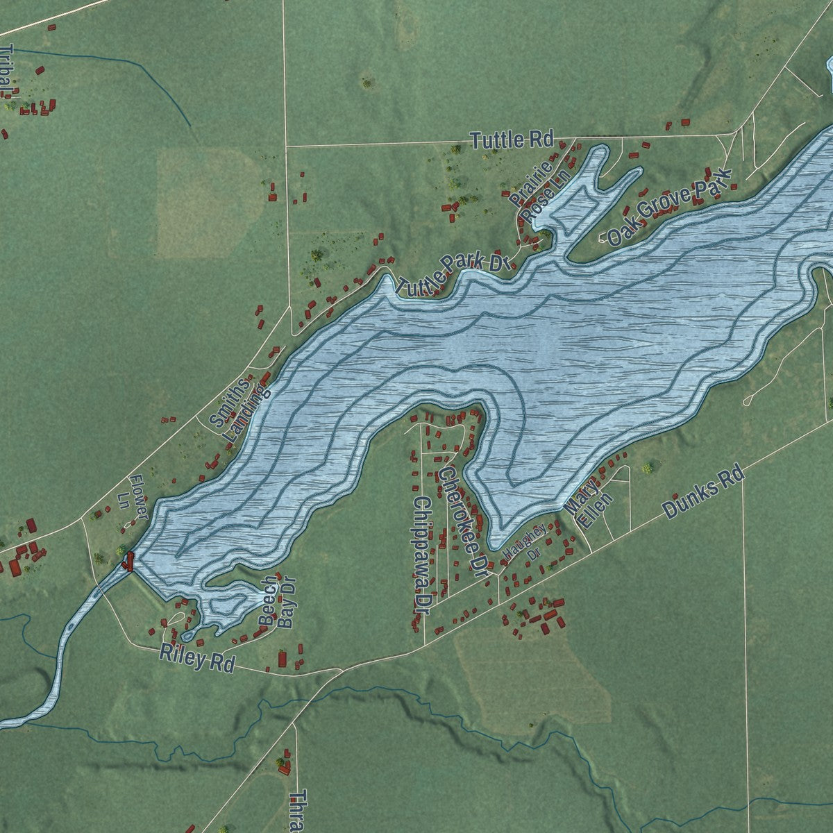 Close-up of the map of Sherwood, Branch County, Michigan print showing street and building detail