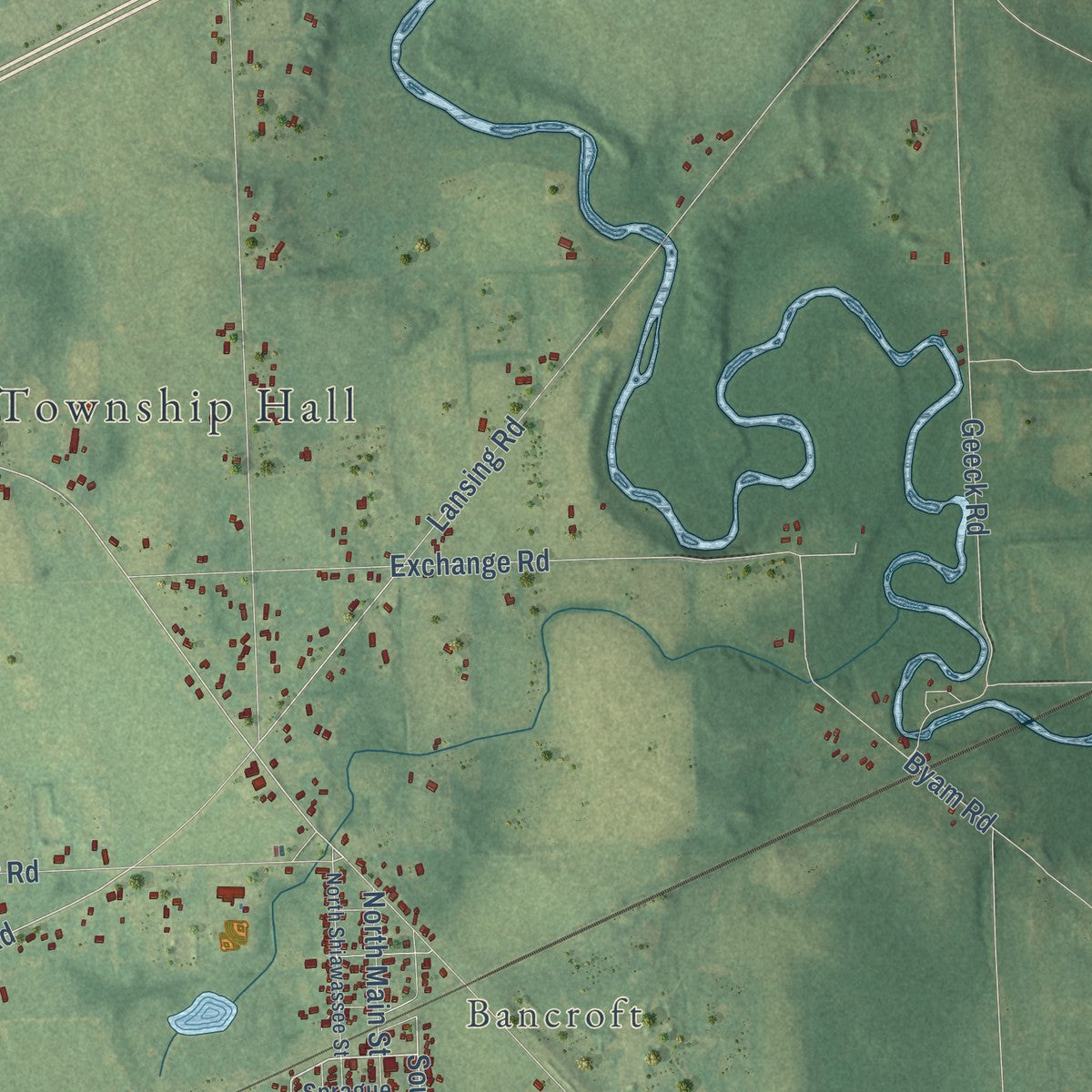 Close-up of the map of Shiawassee, Michigan print showing street and building detail