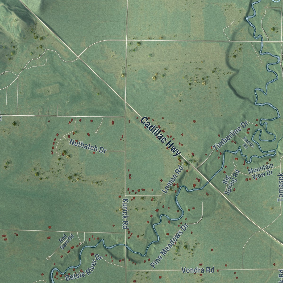 Close-up of the map of Springdale, Michigan print showing street and building detail