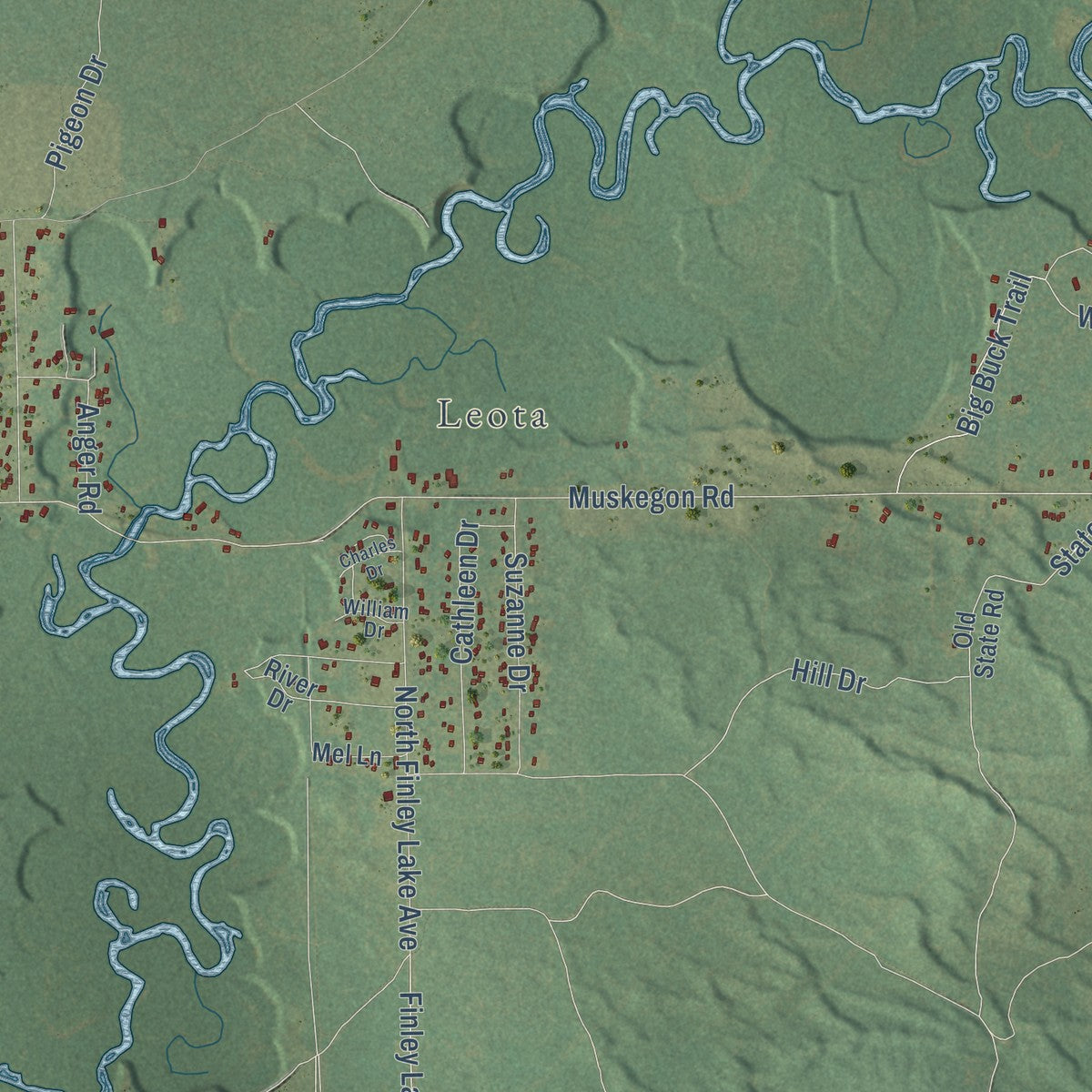 Close-up of the map of Summerfield, Clare County, Michigan print showing street and building detail