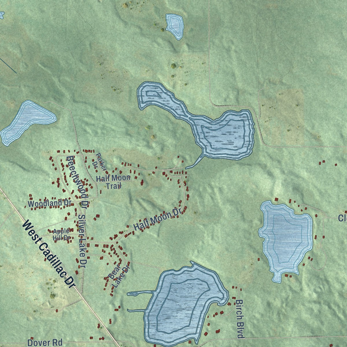 Close-up of the map of Surrey, Michigan print showing street and building detail