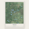 Texas, Michigan map print, the full design
