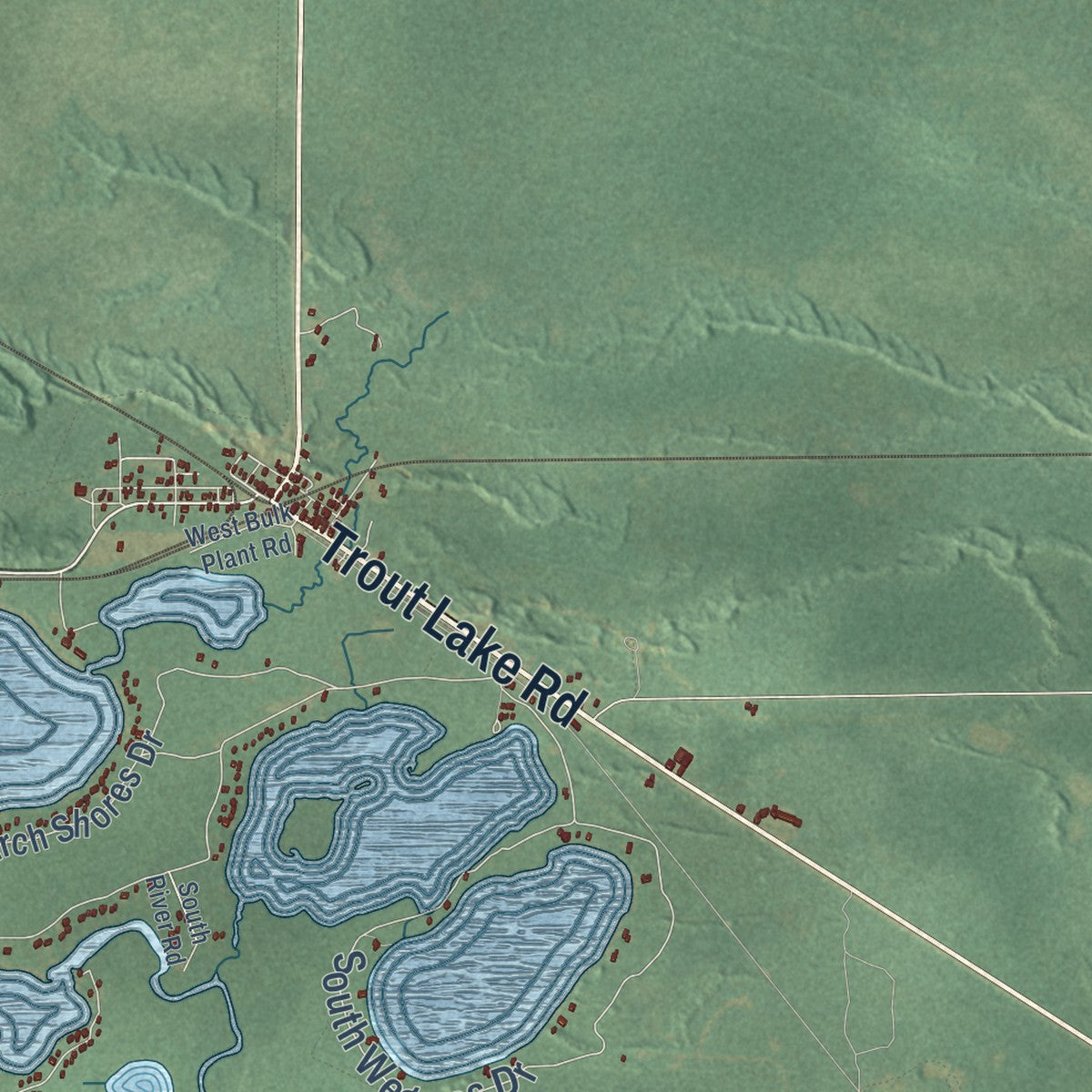 Close-up of the map of Trout Lake, Michigan print showing street and building detail