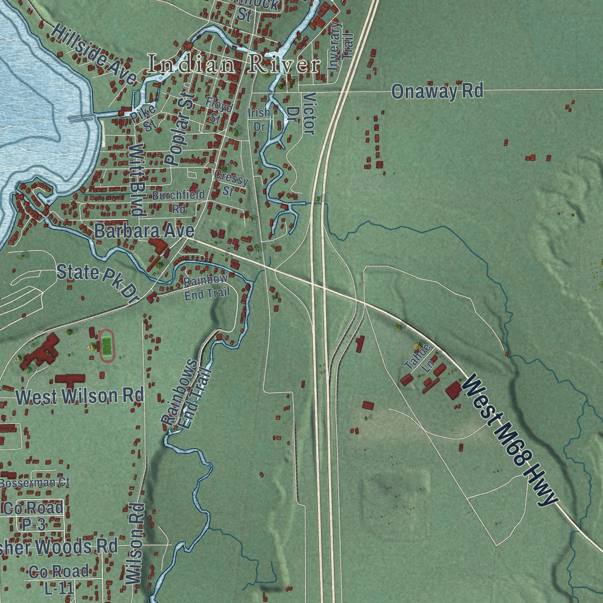 Close-up of the map of Tuscarora, Michigan print showing street and building detail