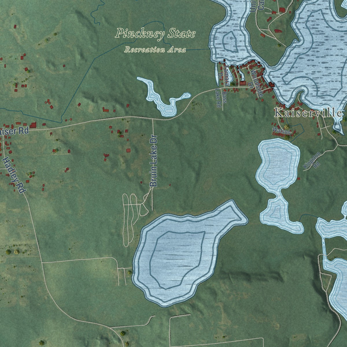 Close-up of the map of Unadilla, Michigan print showing street and building detail
