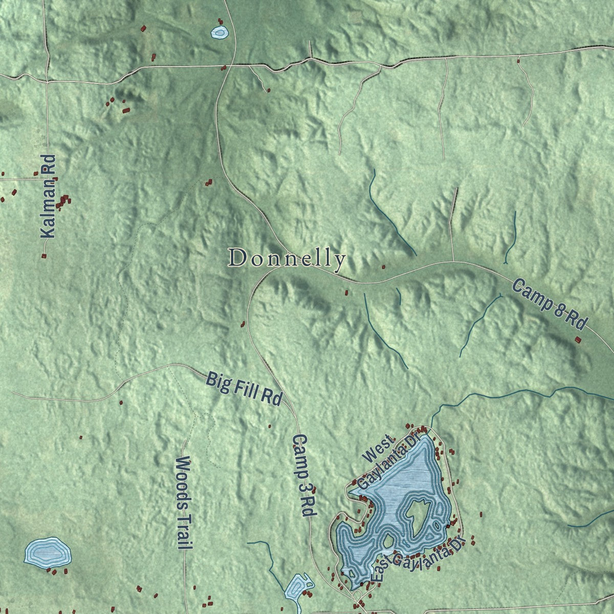 Close-up of the map of Vienna, Montmorency County, Michigan print showing street and building detail