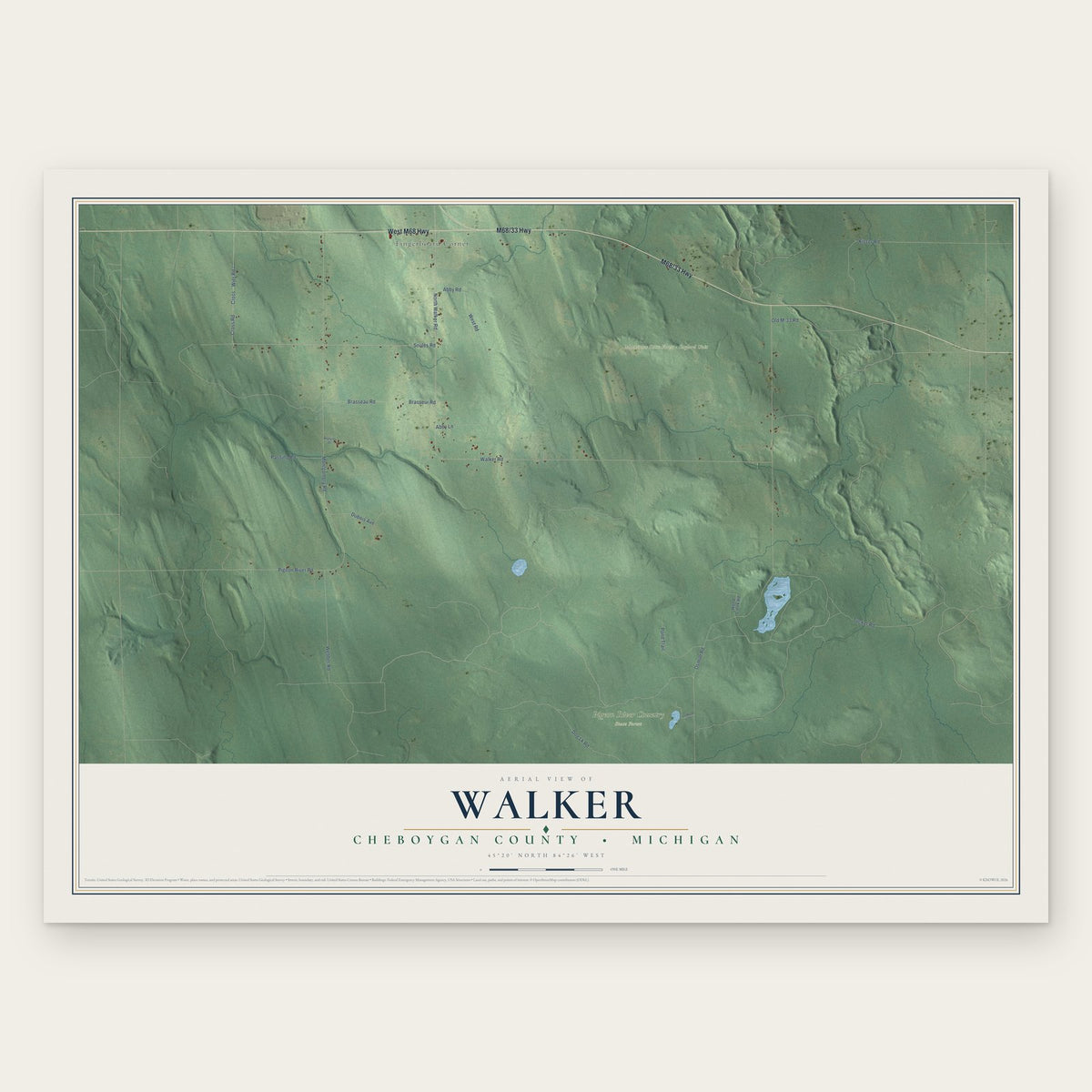 Walker, Cheboygan County, Michigan map print, the full design