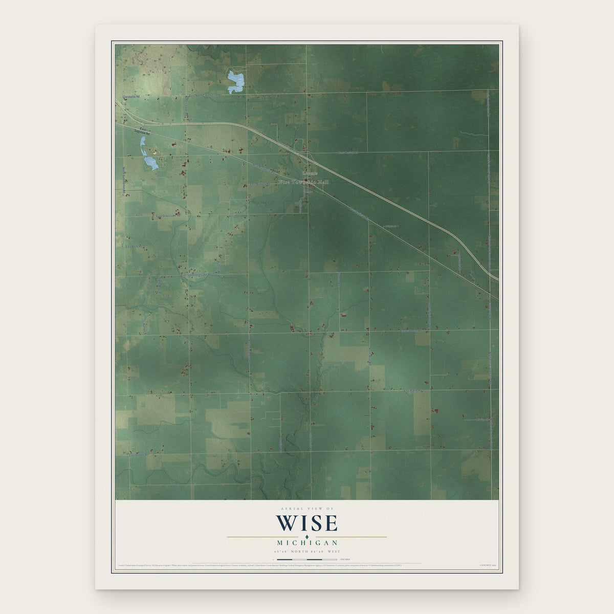 Wise, Michigan map print, the full design