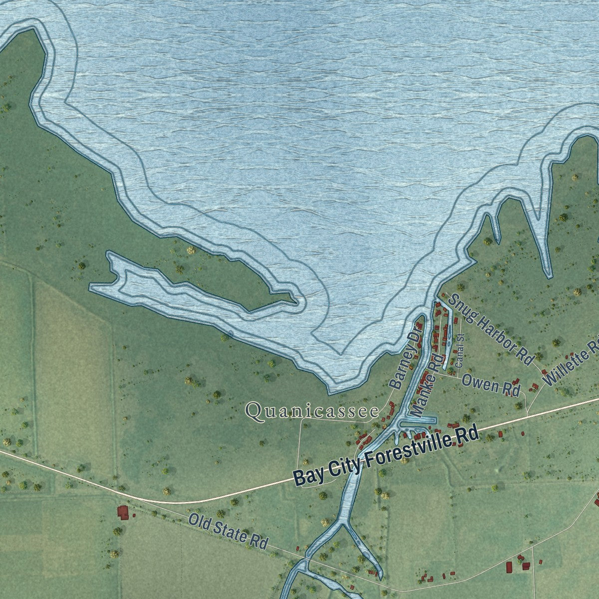 Close-up of the map of Wisner, Michigan print showing street and building detail