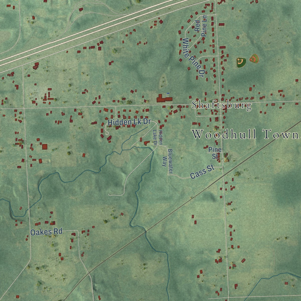 Close-up of the map of Woodhull, Michigan print showing street and building detail