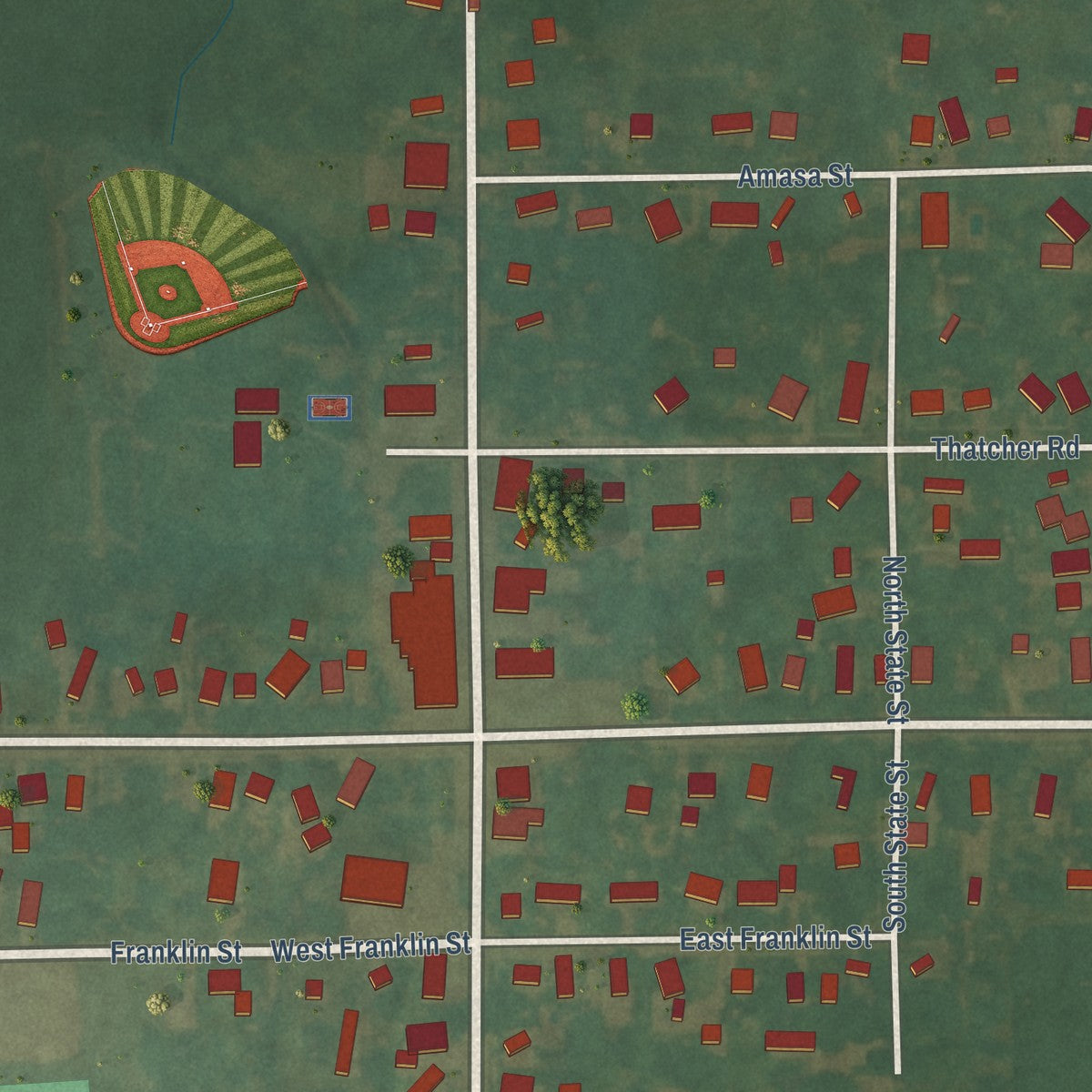 Close-up of the map of Woodland, Michigan print showing street and building detail