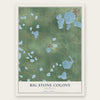 Big Stone Colony, Minnesota map print, the full design