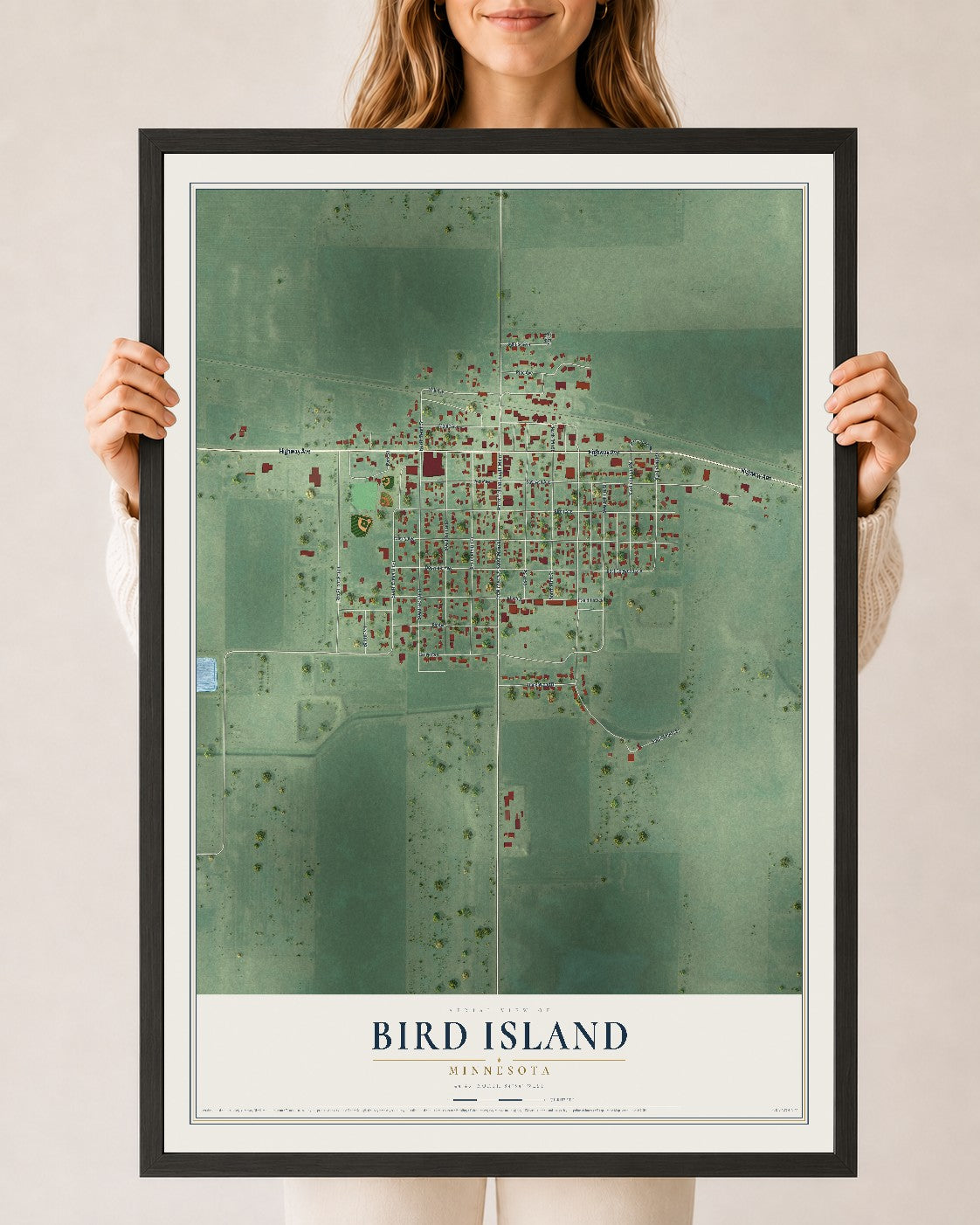 Map of Bird Island, Minnesota, 24 x 36 inch print in a black wood frame