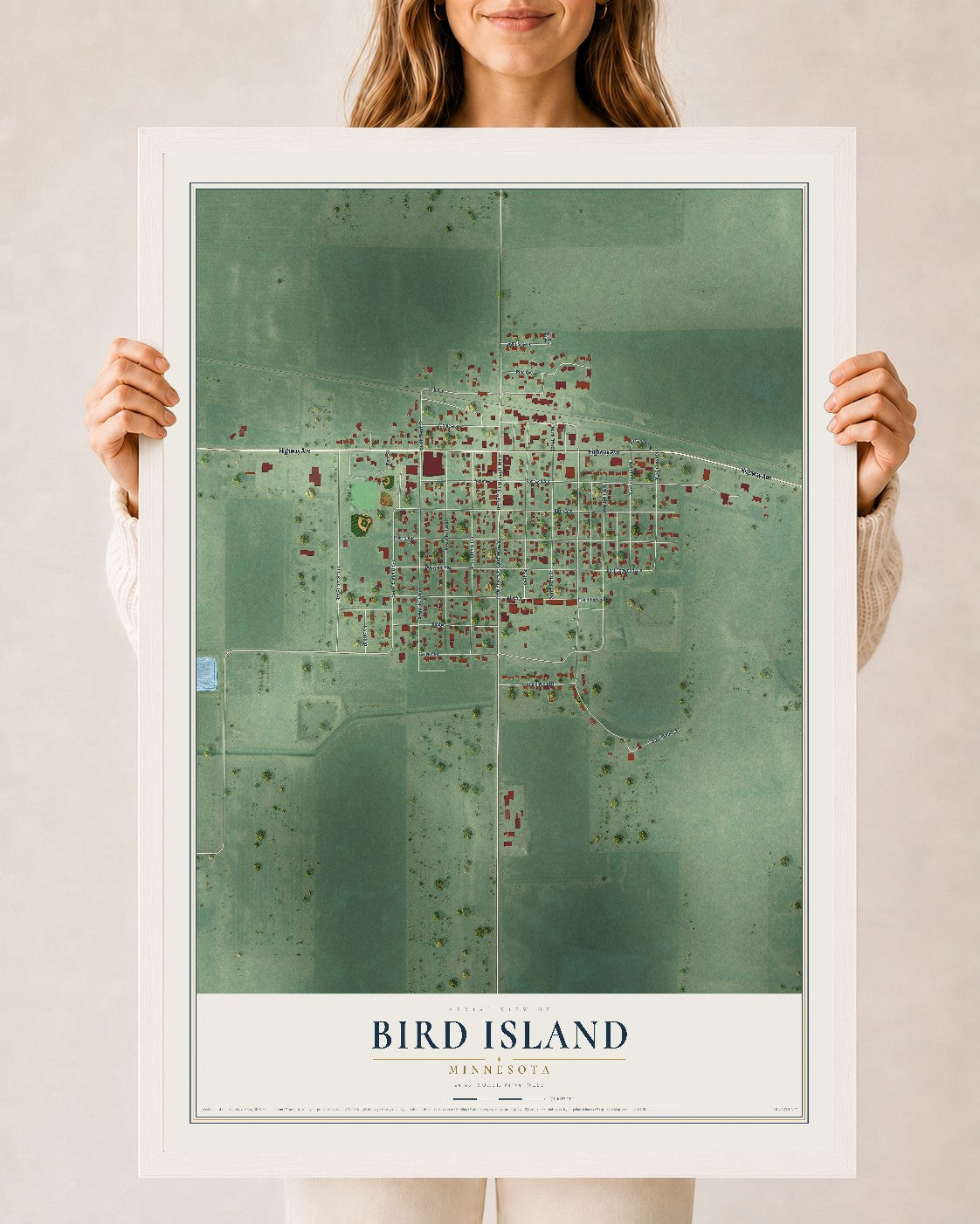 Map of Bird Island, Minnesota, 24 x 36 inch print in a white wood frame