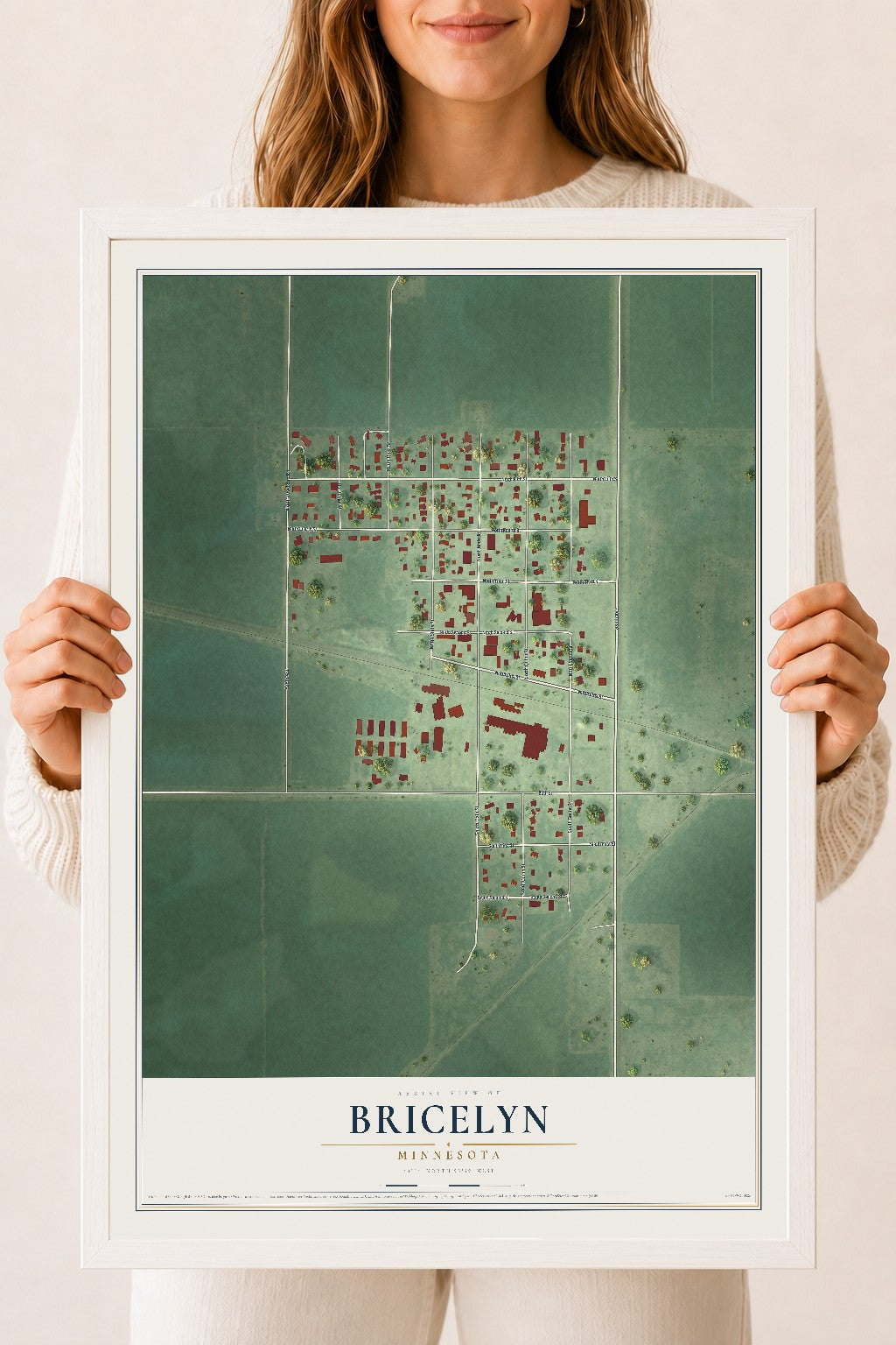 Map of Bricelyn, Minnesota, 18 x 24 inch print in a white wood frame
