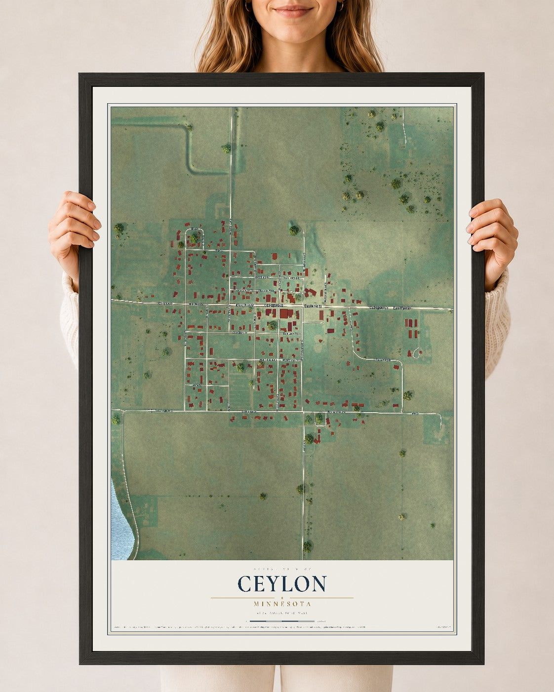 Map of Ceylon, Minnesota, 24 x 36 inch print in a black wood frame