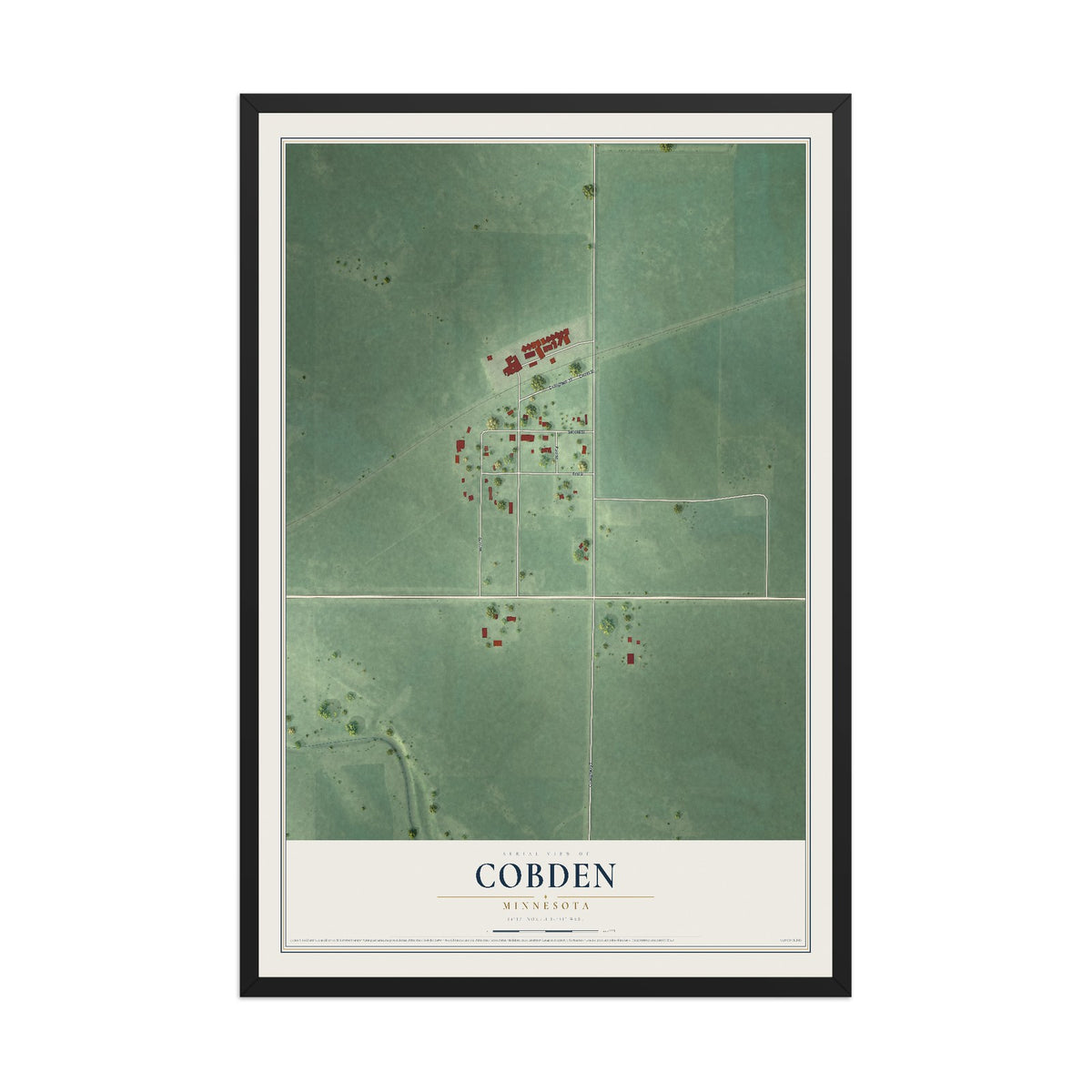 Map of Cobden, Minnesota, 12 x 18 inch print in a black wood frame