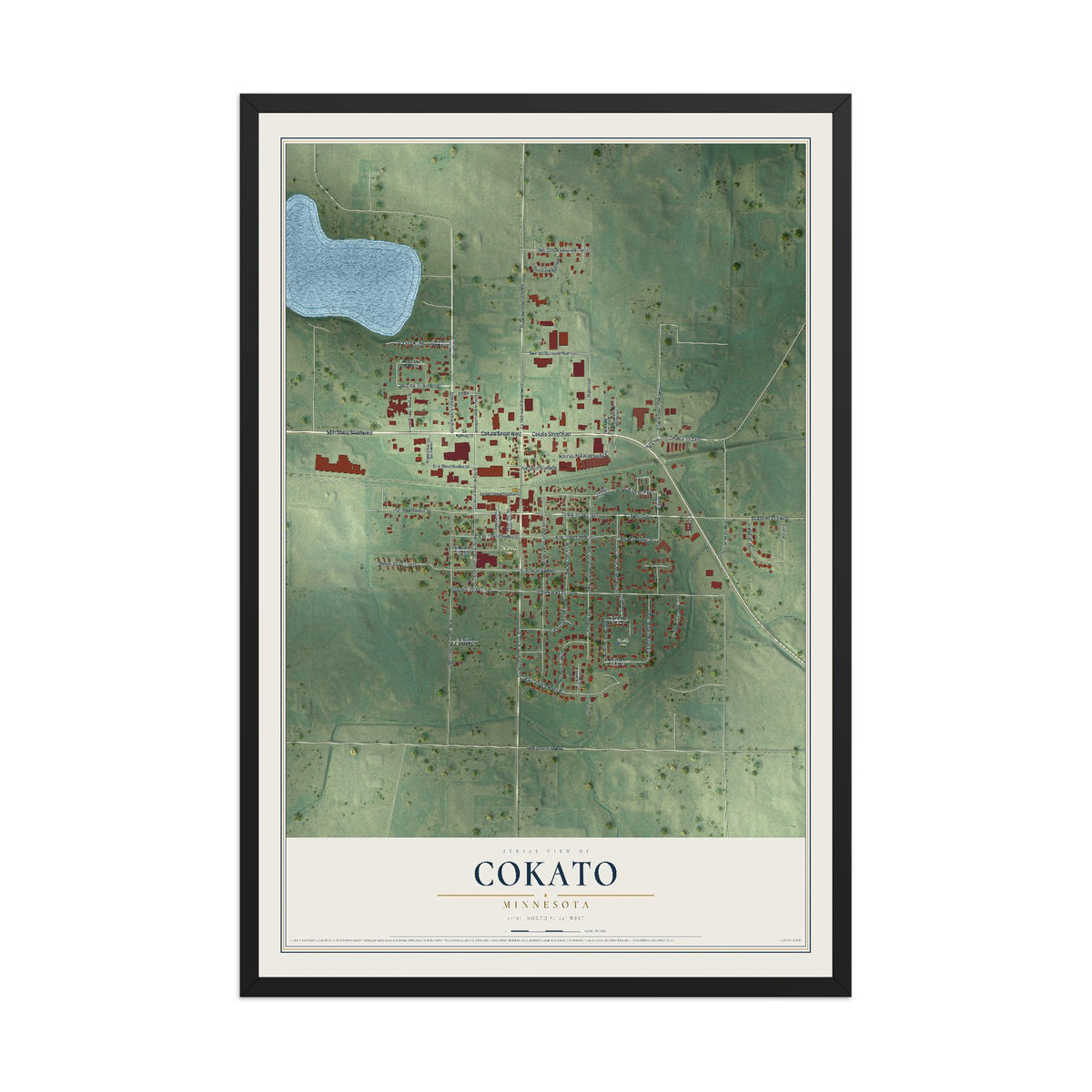Map of Cokato, Minnesota, 12 x 18 inch print in a black wood frame