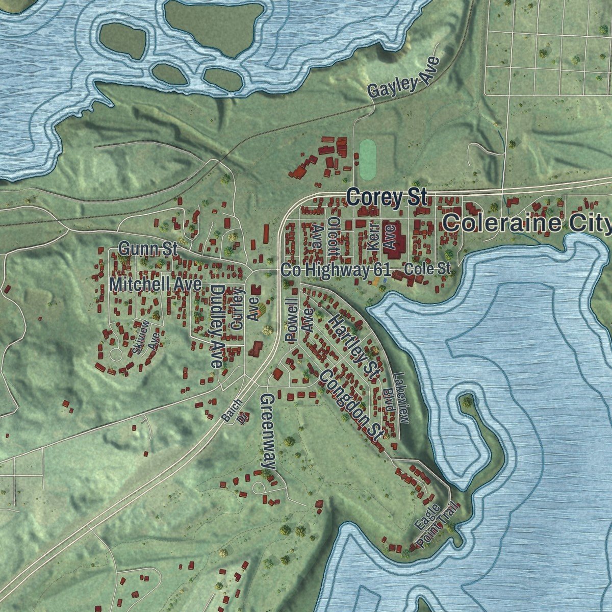 Close-up of the map of Coleraine, Minnesota print showing street and building detail