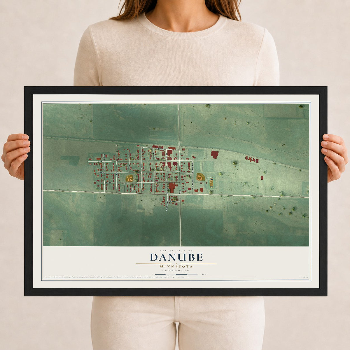 Map of Danube, Minnesota, 12 x 18 inch print in a black wood frame