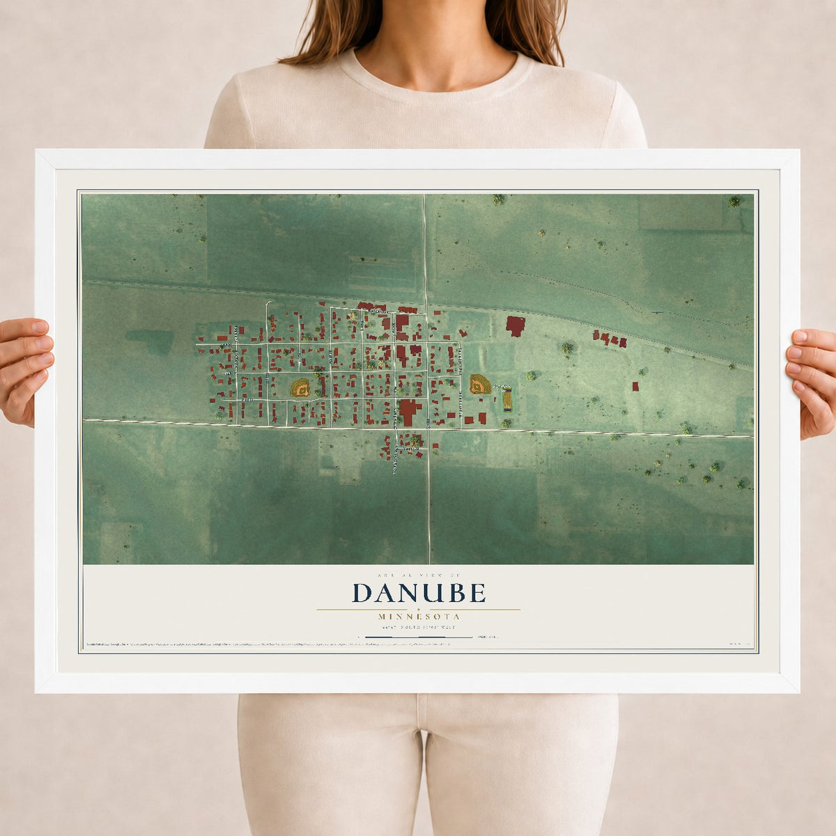 Map of Danube, Minnesota, 18 x 24 inch print in a white wood frame