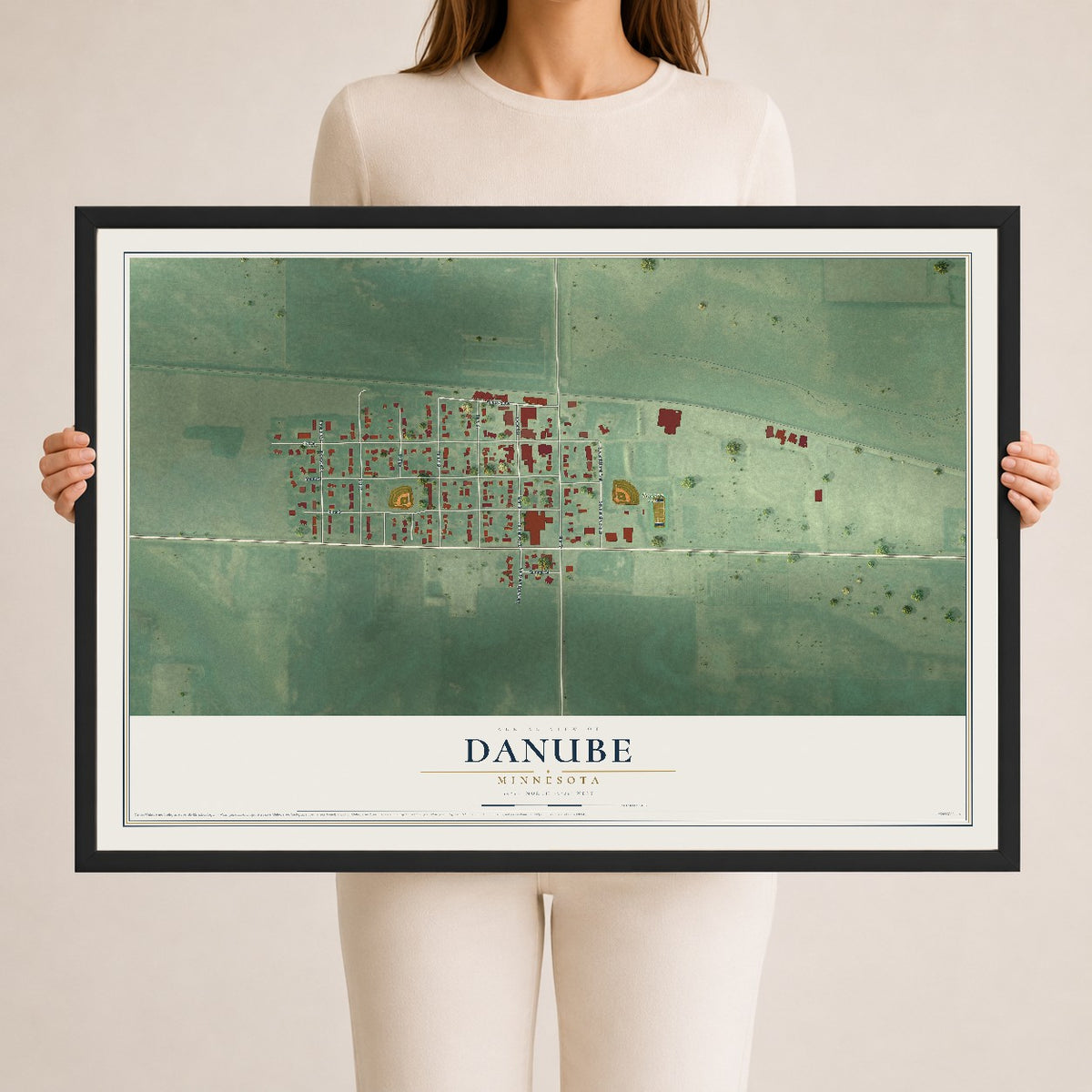 Map of Danube, Minnesota, 24 x 36 inch print in a black wood frame