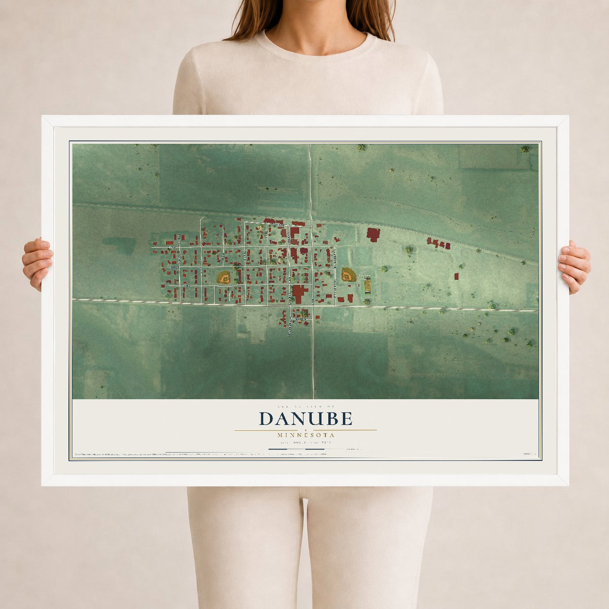 Map of Danube, Minnesota, 24 x 36 inch print in a white wood frame