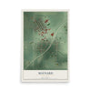 Map of Maynard, Minnesota, 12 x 18 inch unframed archival matte print