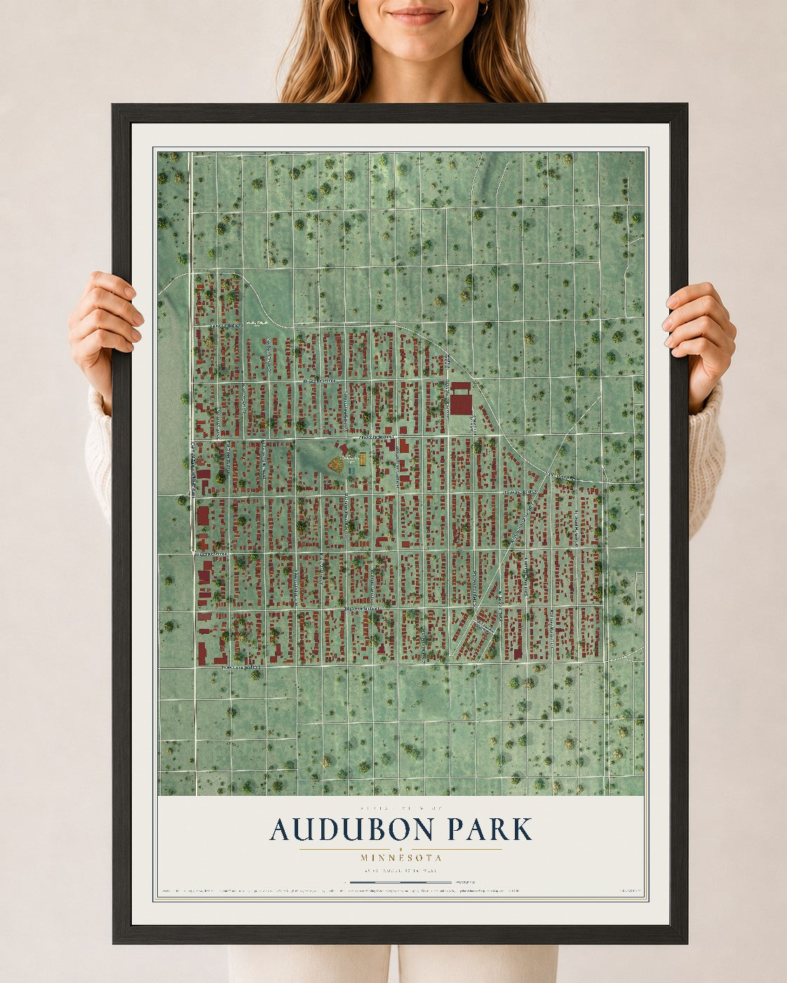 Map of Audubon Park, Minnesota, 24 x 36 inch print in a black wood frame